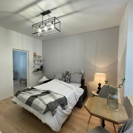 Champenois Centre-ville Apartment